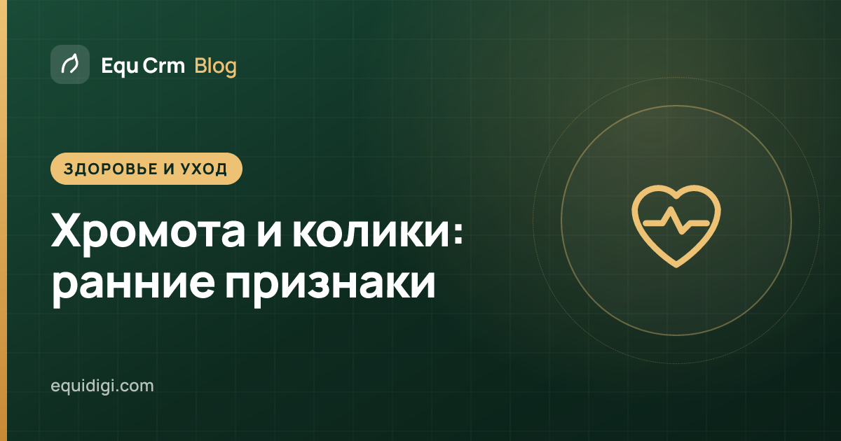 Обложка: наблюдение за признаками хромоты и колик у лошадей на конюшне (блог Equ Crm)